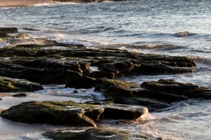 Hookipa Beach   Maui Hawaii 4438